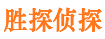 大宁市调查公司